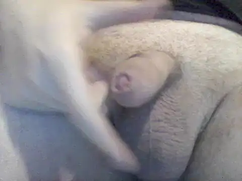 Snapshot of Lovelabite2 chatting on February 2025 05:12:02 PM Lovelabite2 online show from February 2025 05:12:02 PM