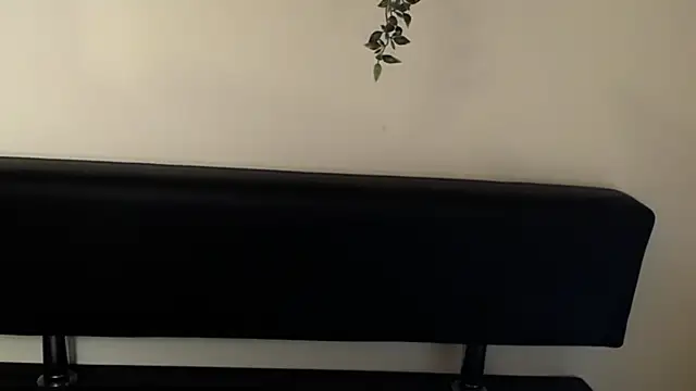 LaimaV  online show from April 2026 04:47:02 PM