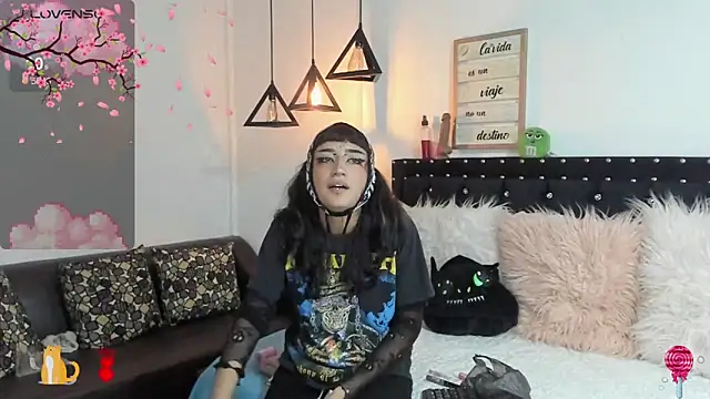 meow mota online show from March 2025 08:48:01 PM