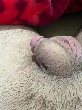 TheArabicGuyx online show from February 2026 09:48:01 PM