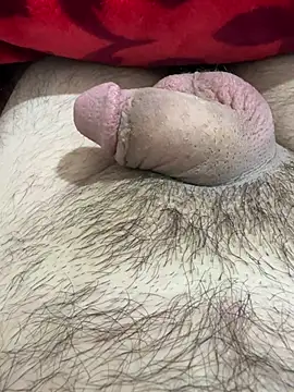 TheArabicGuyx online show from February 2026 07:47:01 PM