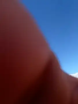 miamiworld online show from October 2025 06:38:02 PM