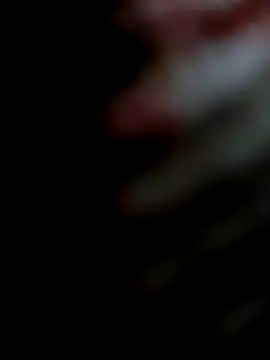 miamiworld online show from December 2024 02:27:02 PM