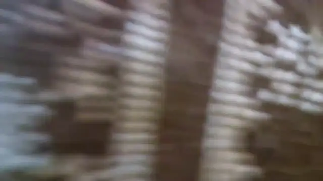 Snapshot of 10Wien11F chatting on March 2025 09:19:02 PM 10Wien11F online show from March 2025 09:19:02 PM