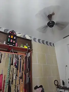 Sw Mahnenwolf online show from December 2025 12:40:01 PM