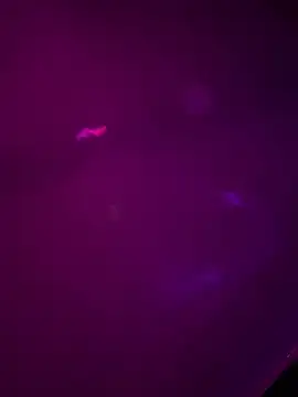 Alahia7demon online show from March 2026 10:17:01 AM