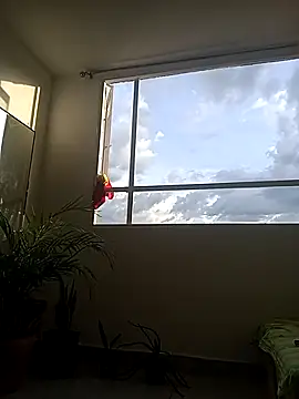 Snapshot of Dangerouspassion777 chatting on September 2025 10:05:01 PM Dangerouspassion777 online show from September 2025 10:05:01 PM