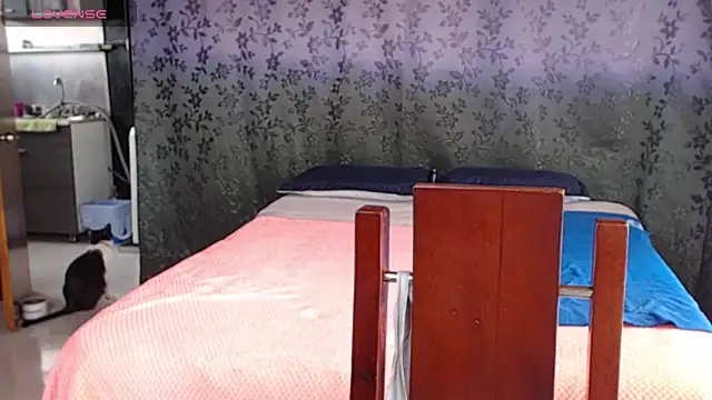 miia-big1boobs  online show from July 2026 08:30:02 PM