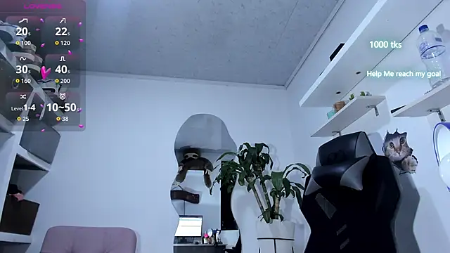 emily palmeer online show from October 2025 10:27:02 AM