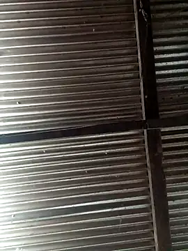 Huebolocko online show from December 2024 06:22:01 PM