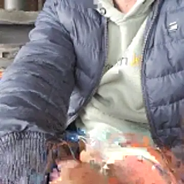 Snapshot of Lumpi1988A chatting on February 2026 11:40:01 AM Lumpi1988A online show from February 2026 11:40:01 AM