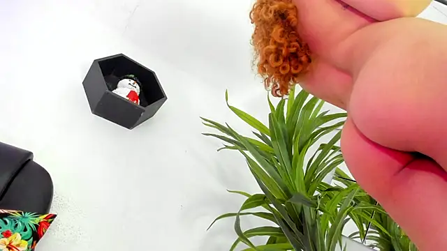 Medusa velvet online show from December 2024 01:57:01 AM