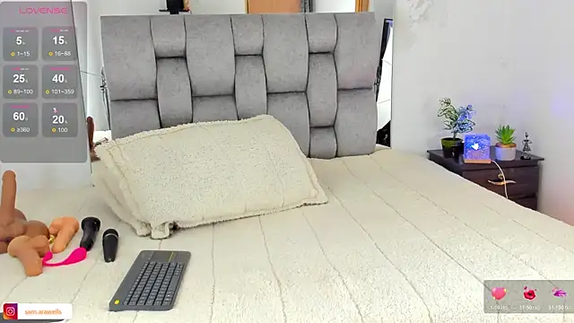 Snapshot of samarawells chatting on February 2026 04:18:02 PM samarawells online show from February 2026 04:18:02 PM