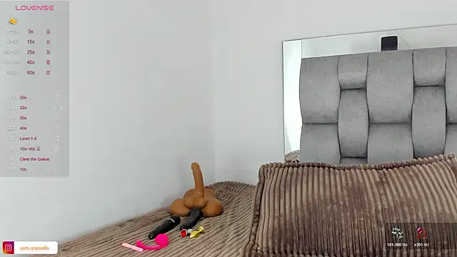 Snapshot of samarawells chatting on February 2026 04:02:01 PM samarawells online show from February 2026 04:02:01 PM