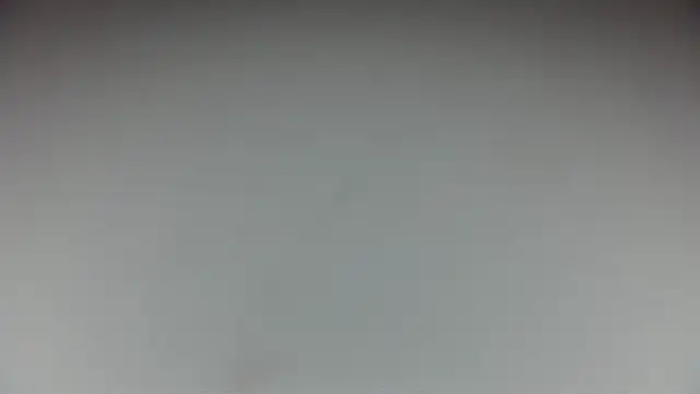 Kittyymaze1 online show from May 2026 12:17:01 PM
