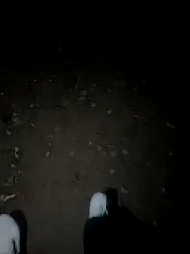 Cafeziitha02 online show from November 2025 11:16:01 PM