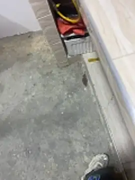 Snapshot of macg96 chatting on December 2025 08:06:02 AM macg96 online show from December 2025 08:06:02 AM