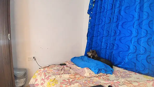 Oh Tique online show from November 2025 07:50:02 PM