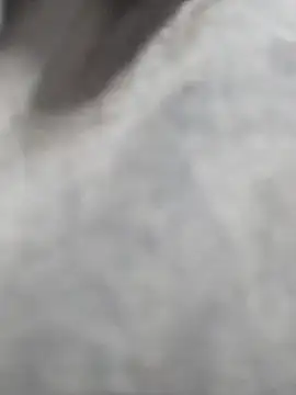 heartless  95 online show from November 2025 12:53:02 PM