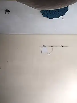 heartless  95 online show from October 2025 03:30:01 AM