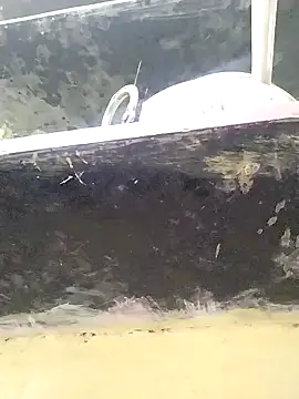 heartless  95 online show from September 2025 02:51:02 AM