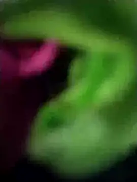 heartless  95 online show from March 2025 06:47:02 AM