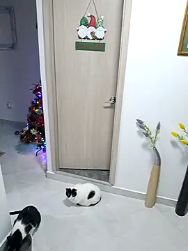 Mia Ruiz online show from November 2025 03:07:01 AM