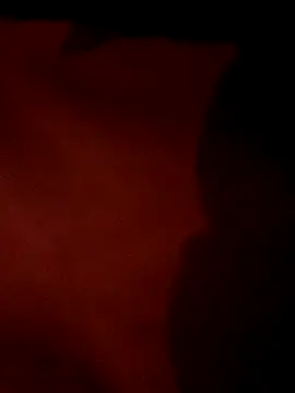 BarbieHotLaura online show from November 2025 01:55:02 PM