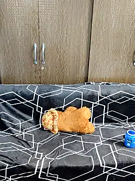 indian yourshreya69 online show from March 2026 02:18:02 AM