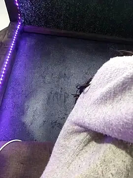 pleasure of life online show from October 2025 10:28:01 AM