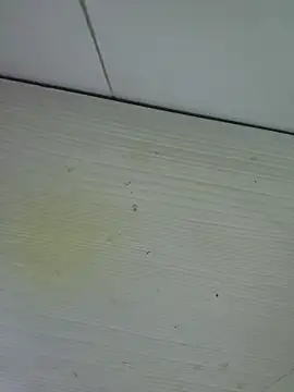 Nyx nayla online show from November 2025 08:19:02 AM