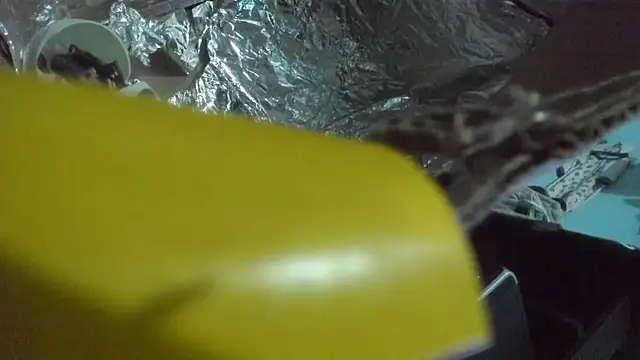 shayla brown  online show from November 2025 03:39:02 PM