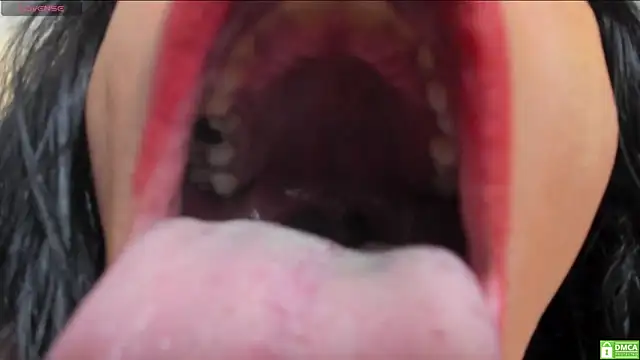 bigblacktransxxx online show from March 2026 04:12:02 AM