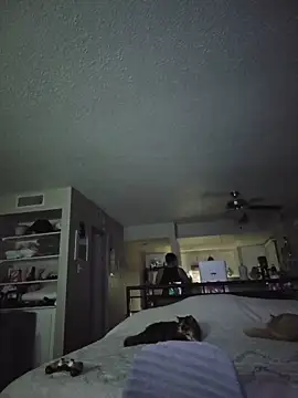 DevilDahm online show from February 2026 05:49:02 AM