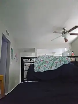 DevilDahm online show from November 2025 08:08:01 PM