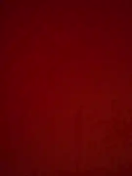 Snapshot of girldam95 chatting on February 2026 06:19:02 AM girldam95 online show from February 2026 06:19:02 AM