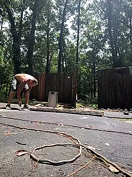 Buffshagswell online show from July 2026 04:41:01 PM
