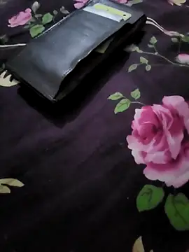 Snapshot of Ssdhaka11 chatting on February 2025 04:11:02 PM Ssdhaka11 online show from February 2025 04:11:02 PM