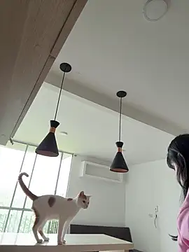 AHRI LEE online show from November 2025 02:51:02 PM