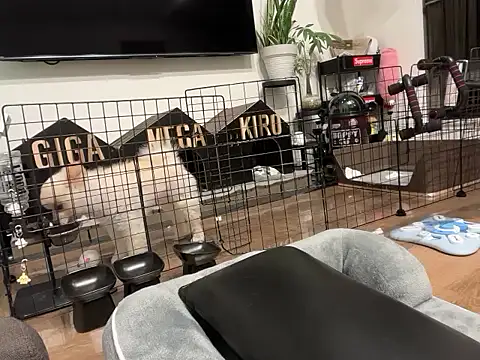 Snapshot of kensnb chatting on November 2025 08:03:01 PM kensnb online show from November 2025 08:03:01 PM