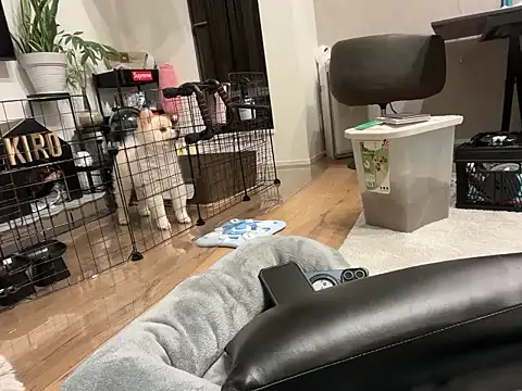 Snapshot of kensnb chatting on November 2025 09:14:02 AM kensnb online show from November 2025 09:14:02 AM