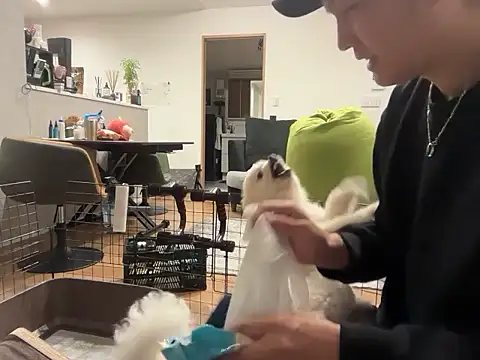 Snapshot of kensnb chatting on November 2025 08:51:02 AM kensnb online show from November 2025 08:51:02 AM