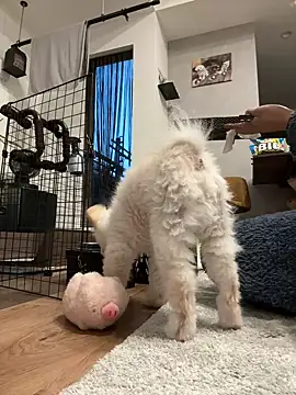 kensnb online show from March 2026 09:07:02 PM