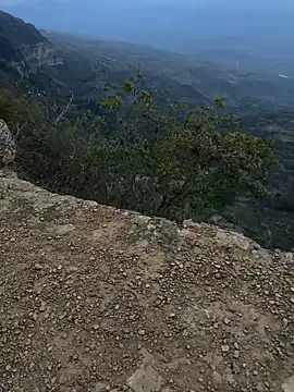 cataafitt online show from March 2025 11:16:02 PM