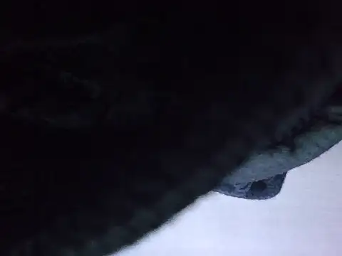 exmilitary online show from February 2026 12:59:01 PM