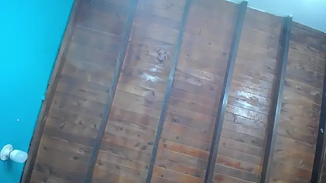 Snapshot of dante_ferraraa chatting on September 2025 10:09:02 PM dante ferraraa online show from September 2025 10:09:02 PM