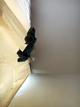 Dilan 1994 online show from November 2025 03:11:01 PM