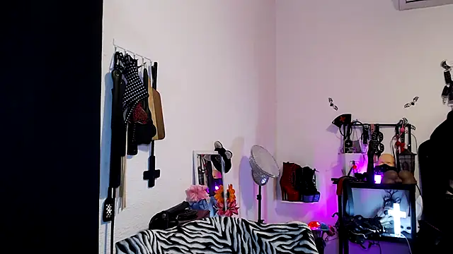 Ryder D Bauchery online show from February 2026 07:02:01 AM