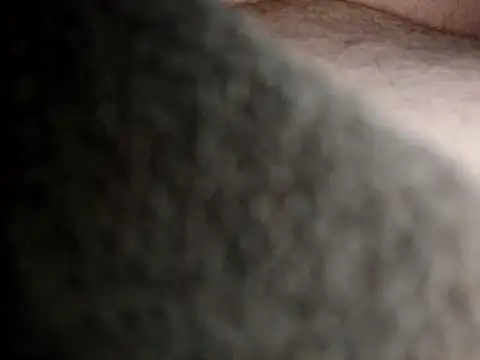 Frankdick01 online show from February 2026 07:08:01 AM