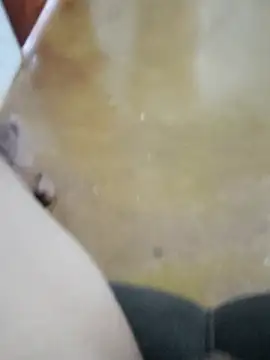 Negrocomedo online show from September 2025 02:06:02 PM